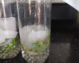 A picture of step 3 of Lemon Mojito.