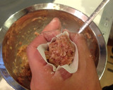 A picture of step 6 of 551-Style Delicious Juicy Shumai.