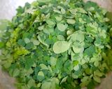 A picture of step 1 of Moringa powder.