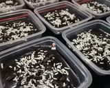 Gambar langkah 8 resipi Mini Chocolate Moist Cake.