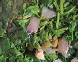 बथुआ साग (Bathua saag recipe in Hindi) रेसिपी चरण 3 फोटो