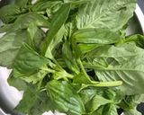 पेस्टो पास्ता (Pesto pasta recipe) रेसिपी चरण 2 फोटो
