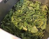 Une image de l'étape 1 de Pesto de fanes de radis au fromage corse.
