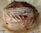 Foto langkah ke 14 dari resep Spekuk Craisin Sourdough Bread.