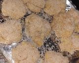 A picture of step 5 of Macaroni Nuggets.