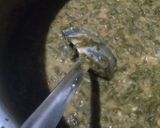 A picture of step 6 of Ghotwan Sag(Dal Palak).