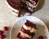 બ્લેક ફોરેસ્ટ ચોકલેટ કેક (Black Forest Chocolate Cake Recipe In Gujarati) રેસીપી સ્ટેપ6ફોટો