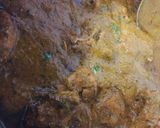 A picture of step 6 of Murg Makhni.