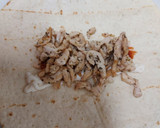 Foto del paso 5 de la receta: Wrap de Pollo