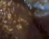 Foto langkah ke 2 dari resep Bubur Jali Jali |Barley.