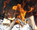 Foto del paso 1 de la receta: Asado de domingo