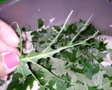 Foto del paso 6 de la receta: Tesmolito (chilatole)
