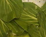Foto langkah ke 6 dari resep Otak-Otak Bandeng.
