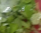 A picture of step 1 of Pudina chutney.