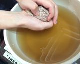 檸檬愛玉的食譜步驟4照片