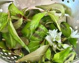 Une image de l'étape 4 de 💚 Apéro nids d’œufs de caille (Végétarien).