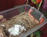 Foto del paso 1 de la receta: Pan integral individual en 2minutos❕