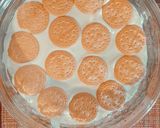 A picture of step 5 of Lime and Peach Carlota.
