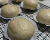 Foto langkah ke 6 dari resep Bakpao Tanpa Mixer.