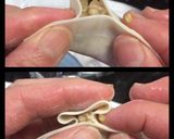 A picture of step 5 of Easy and Beautiful Way to Fold Gyoza.