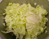 清蒸高麗菜 (蒸氣鍋口感強化)的食譜步驟1照片