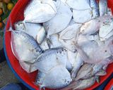 Hình bước làm 1 của món Canh cá liệt nấu ngọt với hành, ngò rí