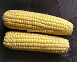 Foto langkah ke 1 dari resep 12. Corn Milk Creamy.