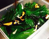 A picture of step 6 of Edible Herb 'Shiso' - Shiso Soy Sauce Marinade.