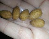 A picture of step 3 of Badami kheer.