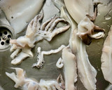 Foto del paso 1 de la receta: Sepia encebollada sobre mini focaccias a la pimienta