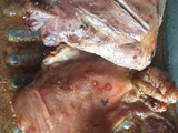 Cabrito santiagueño a la cerveza al horno