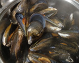 Foto del paso 1 de la receta: Mejillones en salsa
