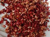 خورشت تخم انار با مرغ