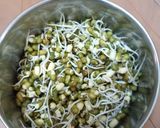 A picture of step 5 of Sprouts - moong dal.