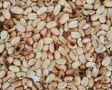સીંગ પાક(Sing pak Recipe in Gujarati) રેસીપી સ્ટેપ1ફોટો