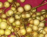 Foto langkah ke 1 dari resep Tumis kulit rambai.