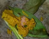 Foto langkah ke 3 dari resep Pindang Layang Kuah Asam #Dandelion.