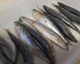 Foto del paso 1 de la receta: Sardinas ahumadas