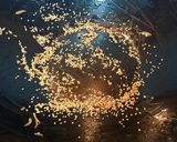 Foto del paso 2 de la receta: Wok de pollo