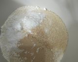 Foto langkah ke 2 dari resep Bakpao.