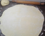 Foto del paso 3 de la receta: Struls o strudel salado