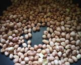 A picture of step 1 of Dry Peanut Chutney.
