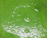 Paneer Kofta in spinach sauce recipe step 6 photo