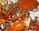 Foto langkah ke 1 dari resep Kepiting Pedas Saus Tiram.