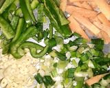 ડ્રાય વેજ.મન્ચુરિયન(dry veg. Manchrun recipe in gujarati) રેસીપી સ્ટેપ11ફોટો