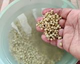 A picture of step 1 of Jowar Upma.