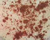 Foto del paso 13 de la receta: Tiramisú