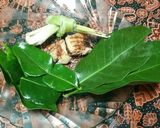 Foto langkah ke 5 dari resep Cumi masak hitam pedas.