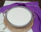 Yoghurtmatakin girki3 hoto