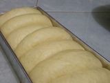 Killer Soft Bread (cuma sekali proofing)